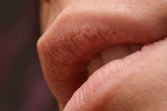 Фото: pixabay.com