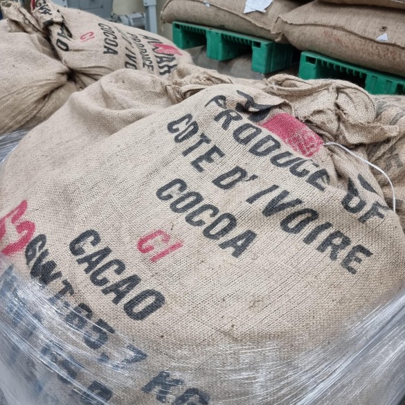 Фото: Дни.ру/ Феликс Грозданов