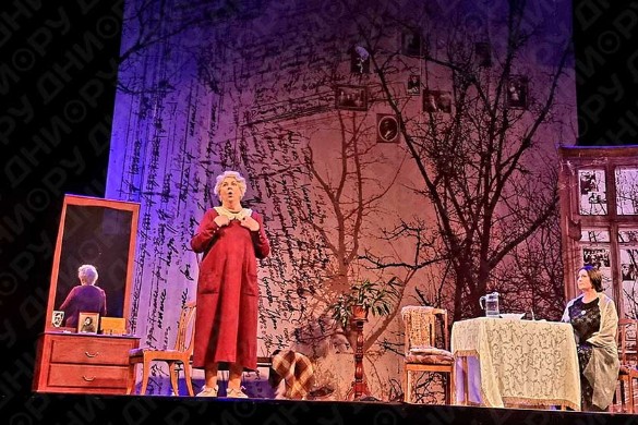 Сцена из спектакля "Фаина. Птица, парящая в клетке". Фото: Феликс Грозданов / Дни.ру