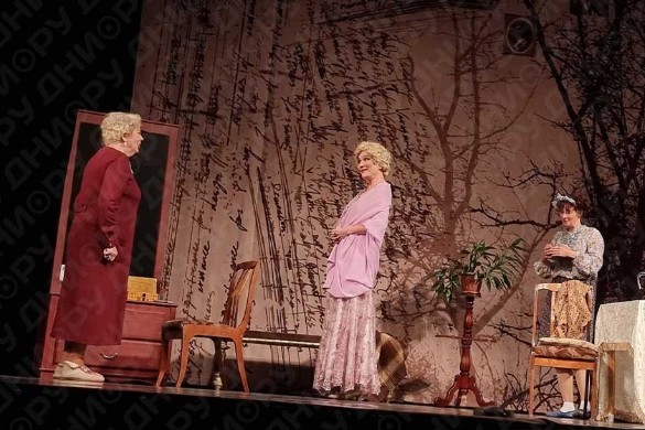 Сцена из спектакля "Фаина. Птица, парящая в клетке". Фото: Феликс Грозданов / Дни.ру