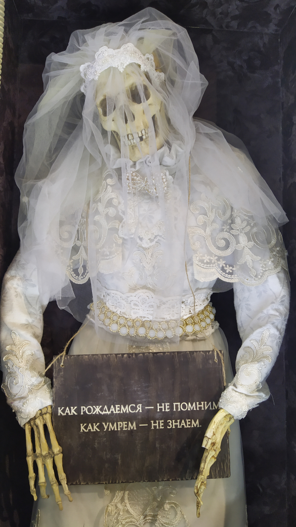 Фото: Дни.ру