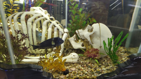 Фото: Дни.ру