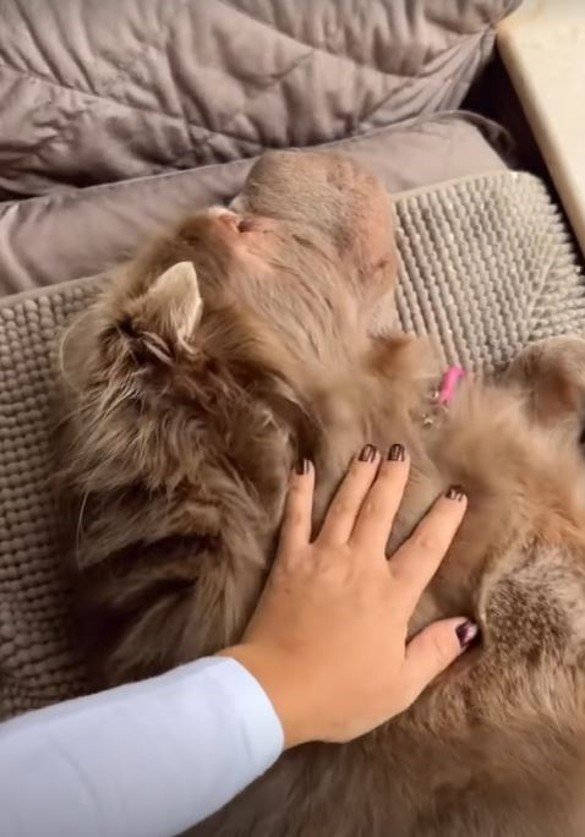 Фото: соцсети Ольги Орловой