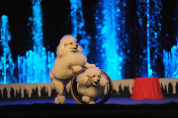 Фото: пресс-служба