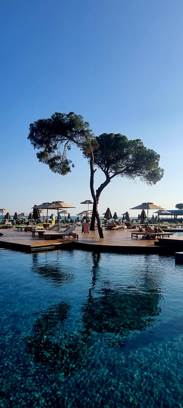 Фото: Феликс Грозданов / Дни.ру