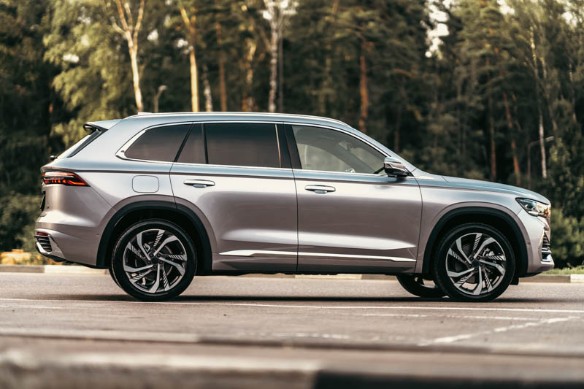 Фото: Родион Газманов