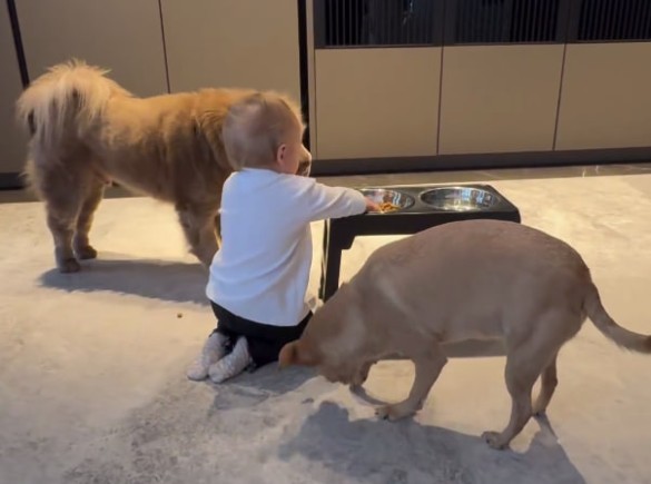 Фото: соцсети