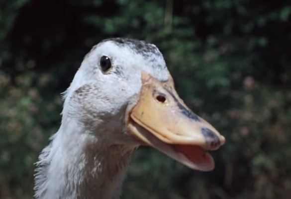 Кадр YouTube / @MosfilmRuOfficial