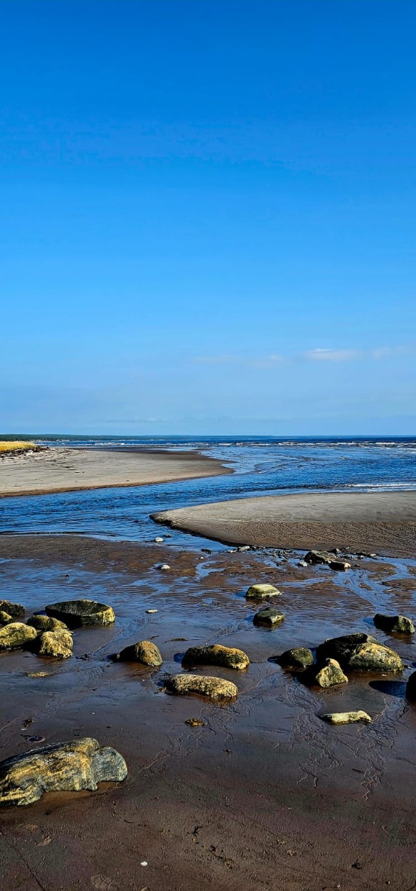 Фото: Феликс Грозданов / Дни.ру