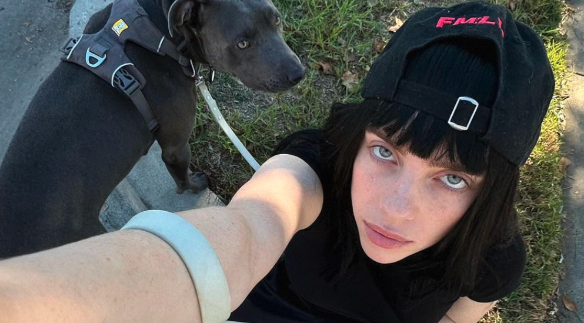 Билли Айлиш. Фото: соцсети