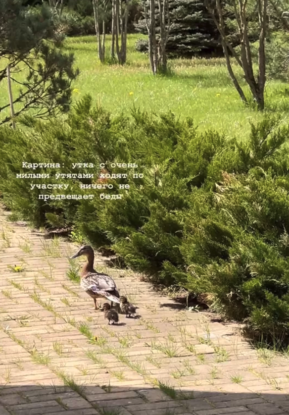 Анна Заворотнюк. Фото: соцсети