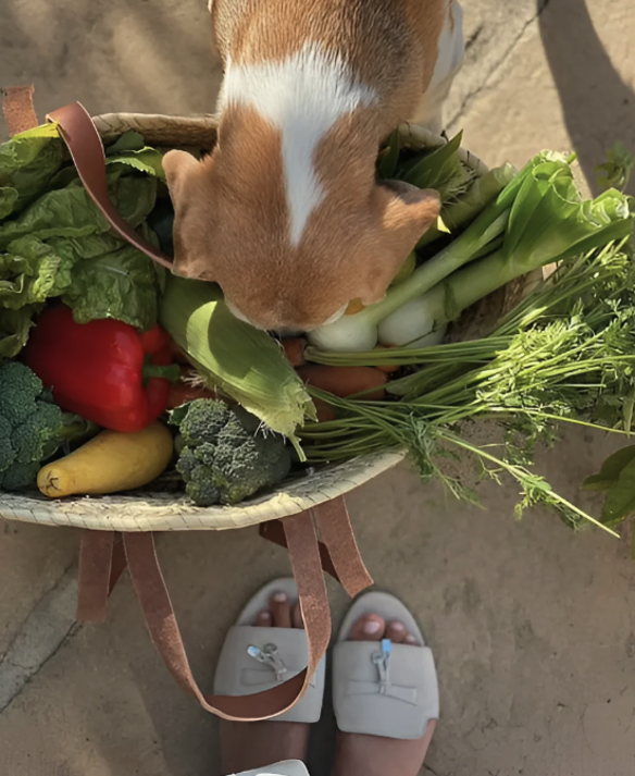 Меган Маркл. Фото: соцсети