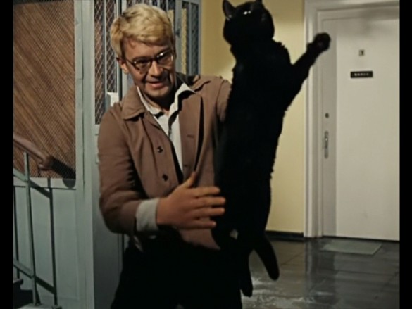 Фото: кадр из фильма