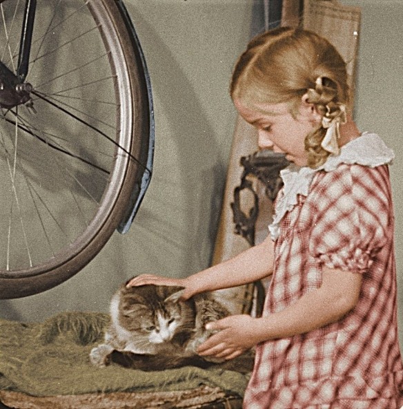 Фото: кадр из фильма