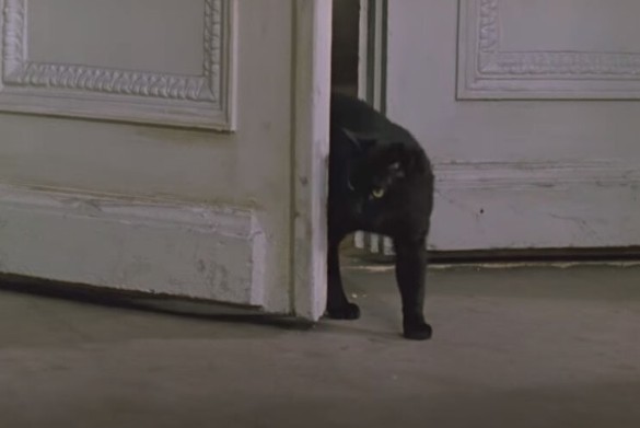 Фото: кадр из фильма