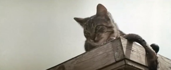 Фото: кадр из фильма