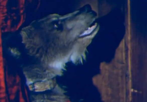 Кадр из кино СССР