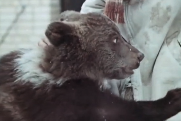 Кадр из кино СССР