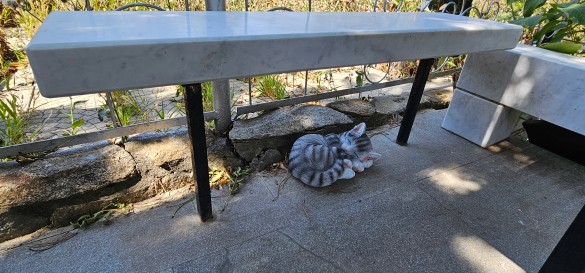 Фото: Дни.ру