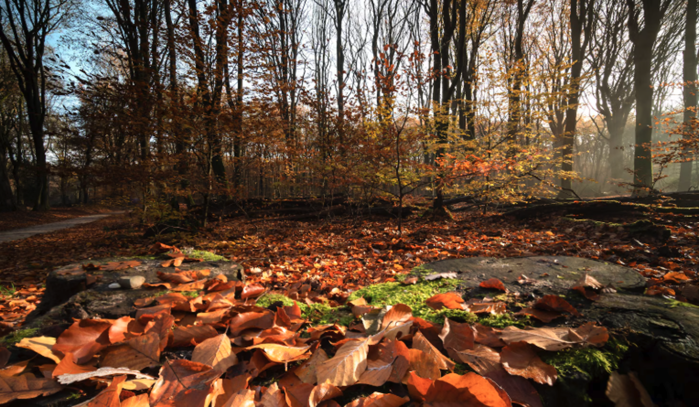 Что нельзя делать 5 ноября в Яков день – приметы, обычаи и традиции 