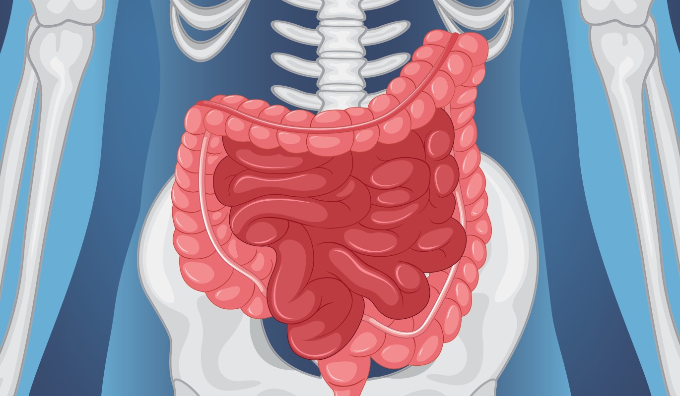 Вашим телом управляет не только мозг: доктор Мясников рассказал о "скрытых" системах организма