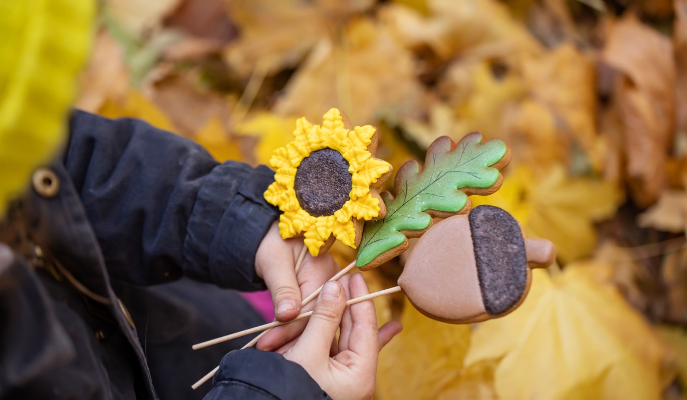 Вселенная выбрала троих: проверьте, есть ли ваш знак в списке счастливчиков ноября