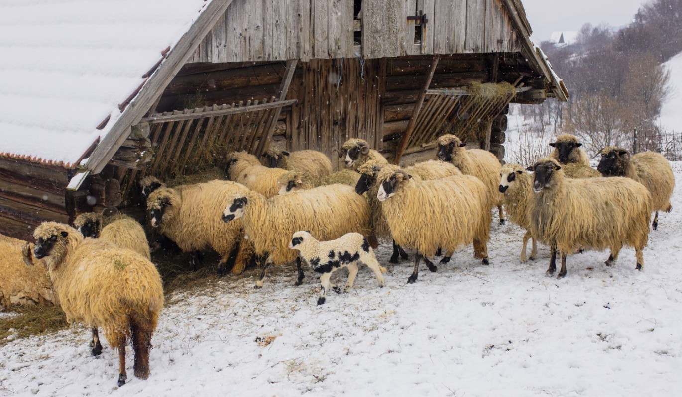11 ноября – опасный день: что ни в коем случае нельзя делать, чтобы не навлечь беду в дом