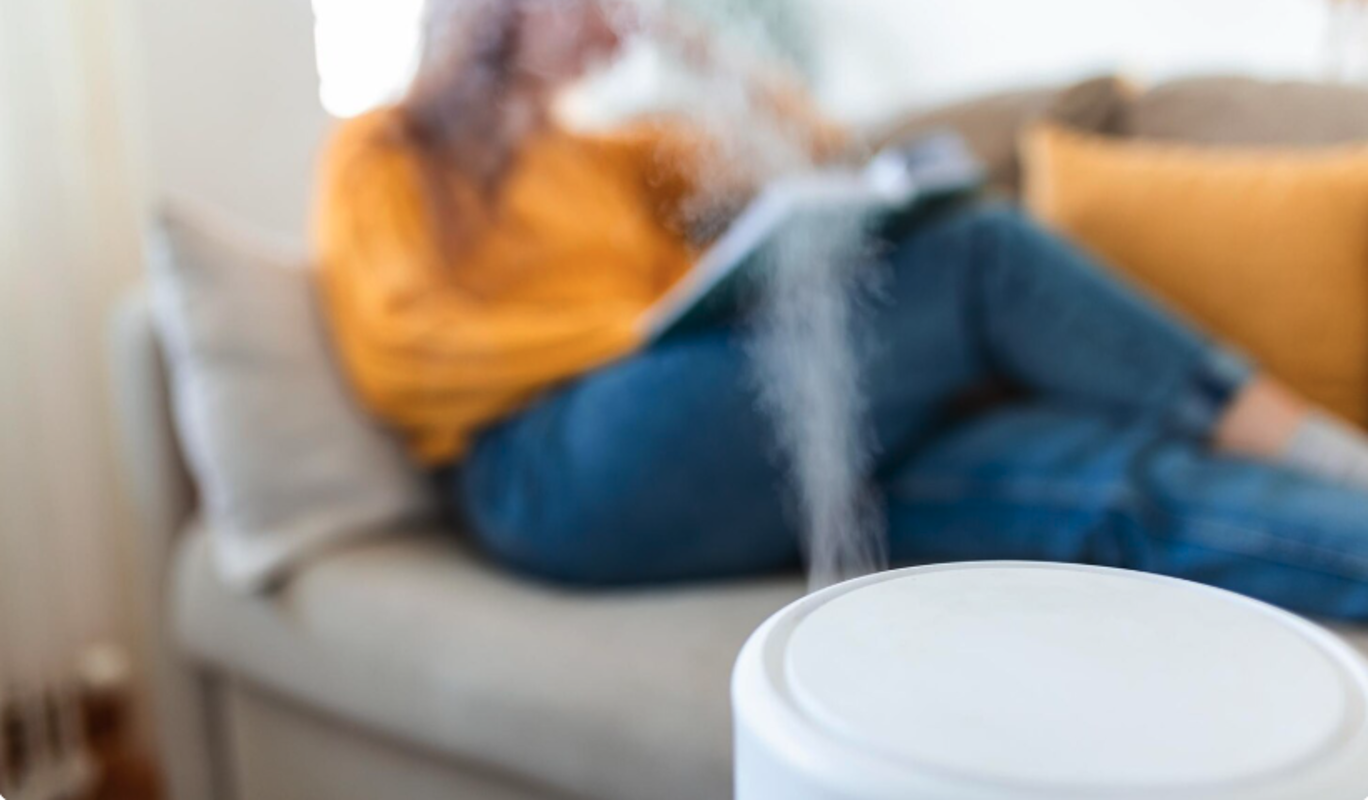 Врач дала россиянам советы по увлажнению воздуха в квартире