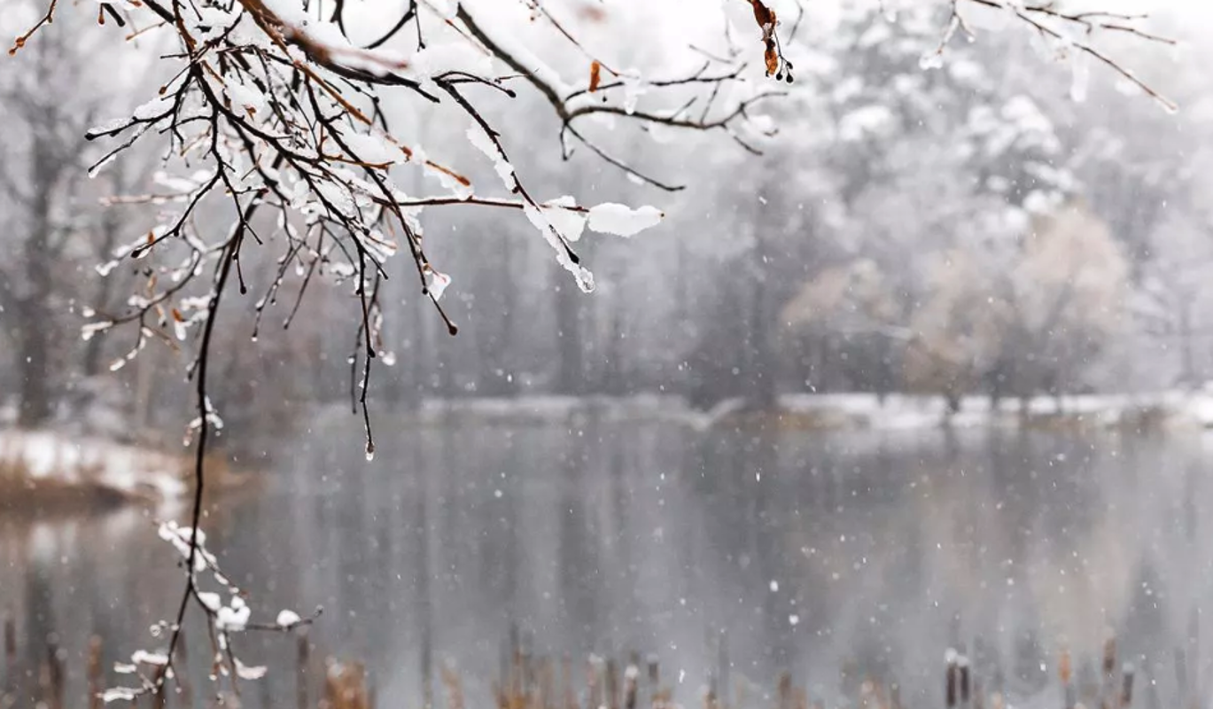 Синоптики пообещали москвичам необычный ноябрь