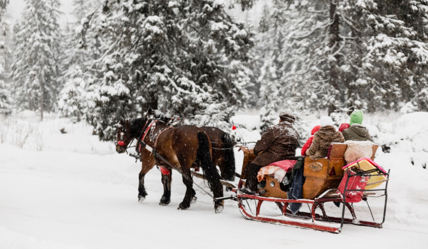 Деньги утекут из дома: что наши предки не советовали делать 7 декабря, чтобы не остаться нищим и несчастным