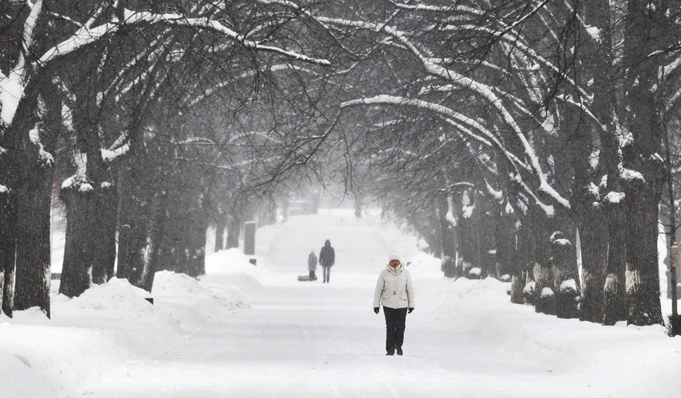 Сформируется ли в Москве к Новому году снежный покров — синоптик дала ответ