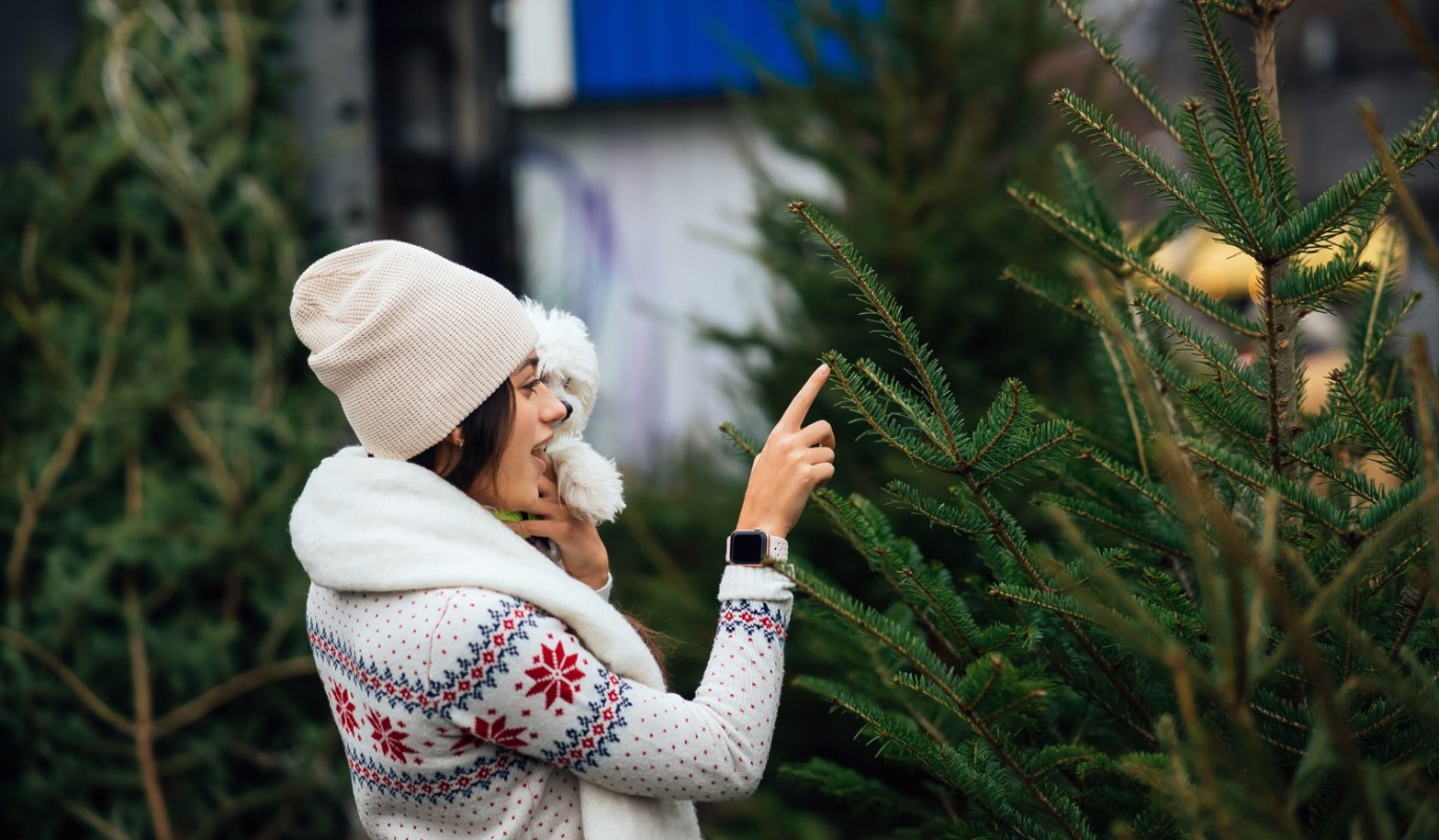 Неожиданный "подарок" на вашей елке: в России появился новый вид клещей, и он уже в квартирах