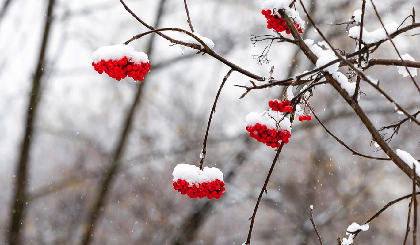 Холода в Москве начнут отступать вечером 24 декабря – синоптик