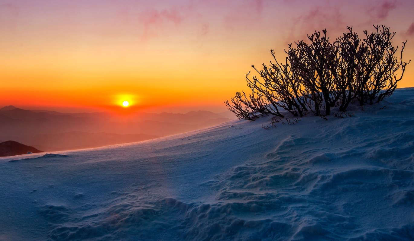 Главный парадокс 25 декабря: почему сегодня трудолюбие ведет к нищете, а лень – к богатству