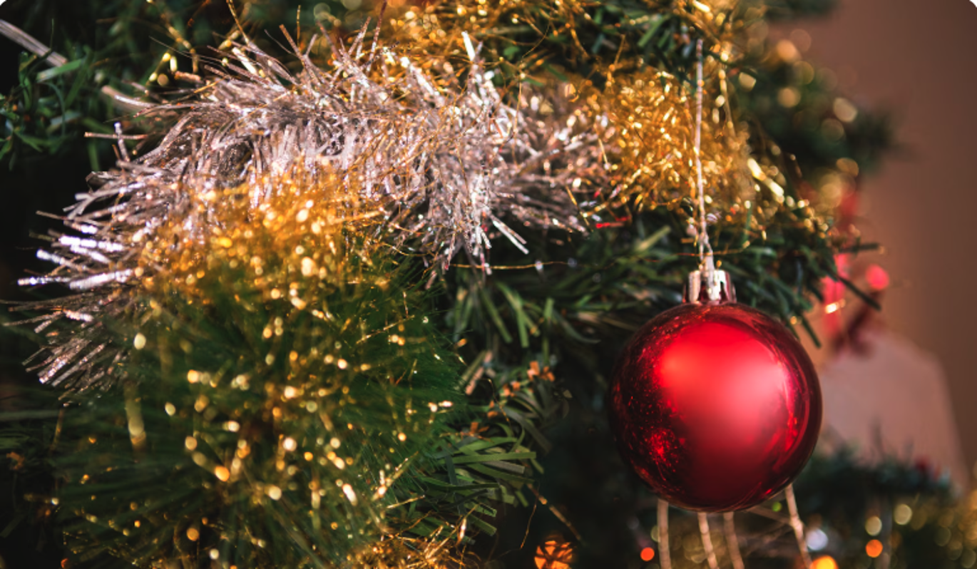 Как правильно подготовить новогоднюю ель для установки дома – лучшие рекомендации от эксперта