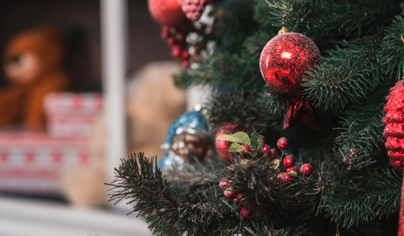  Россиян предупредили об опасности длительного хранения новогодних елок дома