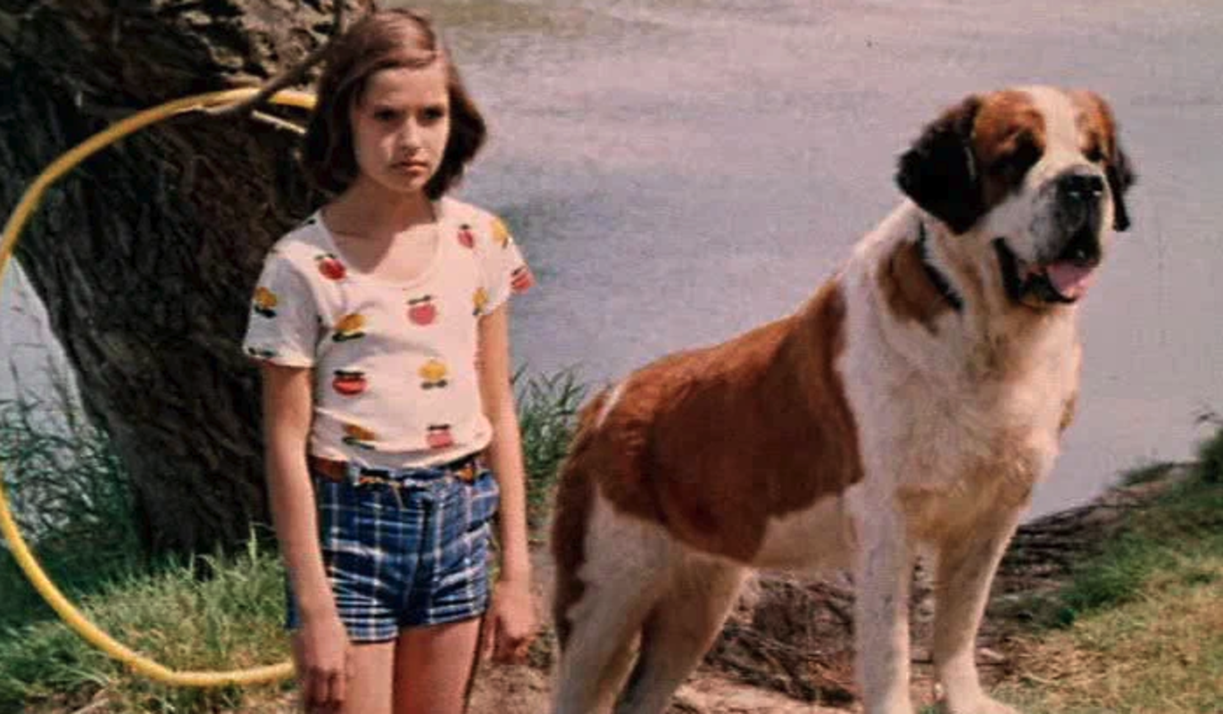 Тест: угадайте советский фильм по кадру с героиней и псом