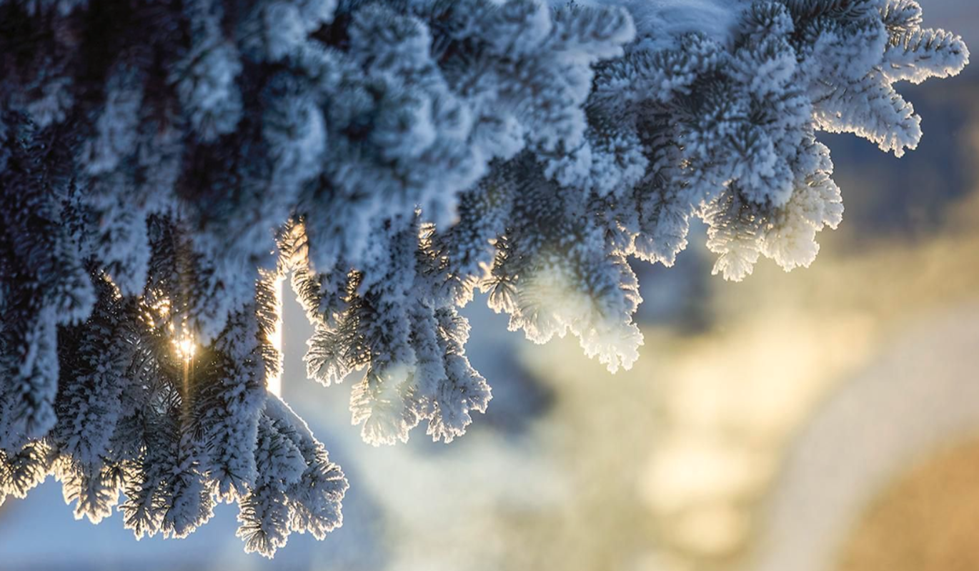Синоптик предсказал пик похолодания в Москве – морозы станут особенно крепкими