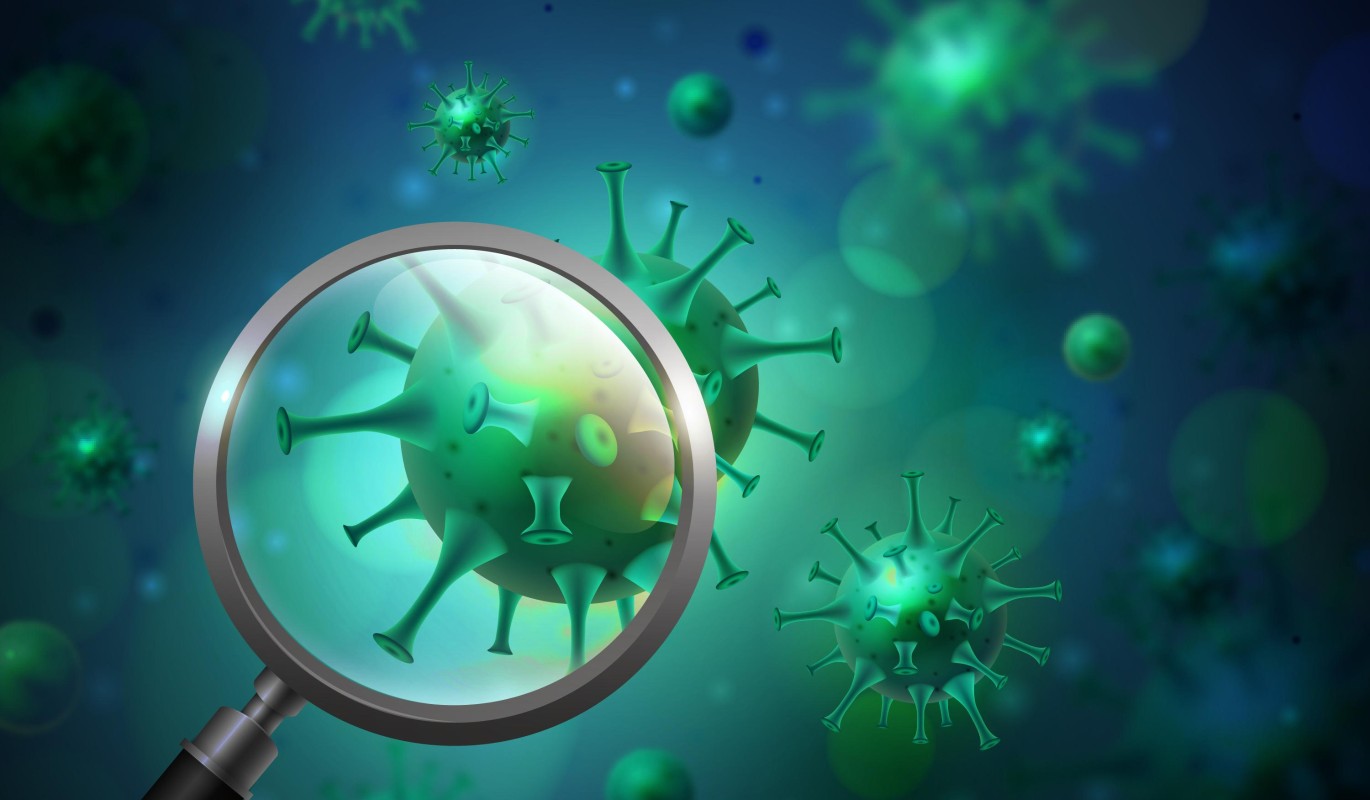 Новый вирус, который переносят мошки, уже на Кубе: доктор Мясников рассказал, стоит ли россиянам бояться каждого укуса