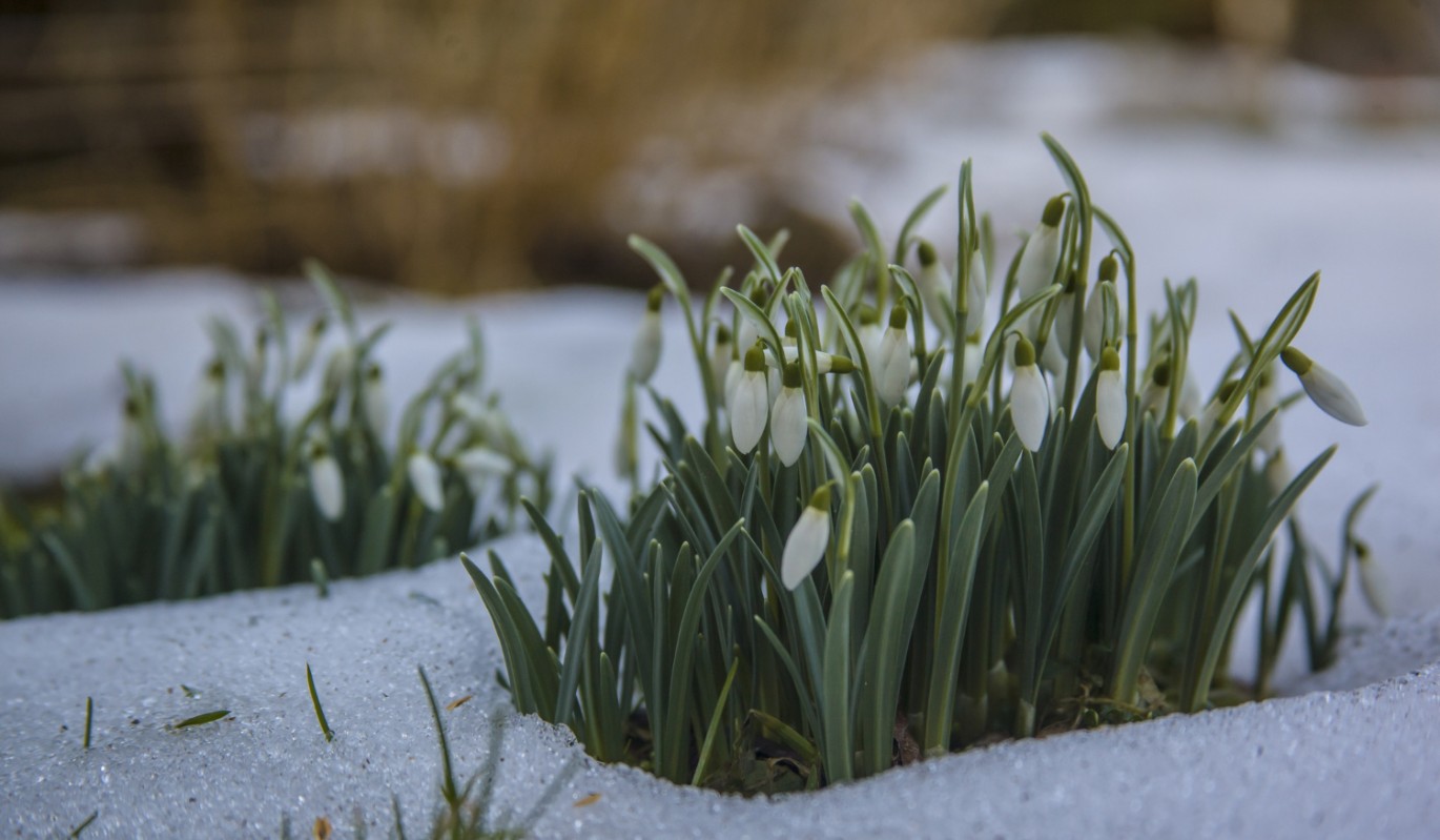 "Счастье любит тишину": почему 7 февраля добрые дела могут обернуться бедой для всей семьи