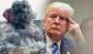 Трамп начал бомбить Сирию