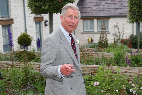 Принц Чарльз. Фото: UPPA/B68/www.globallookpress.com