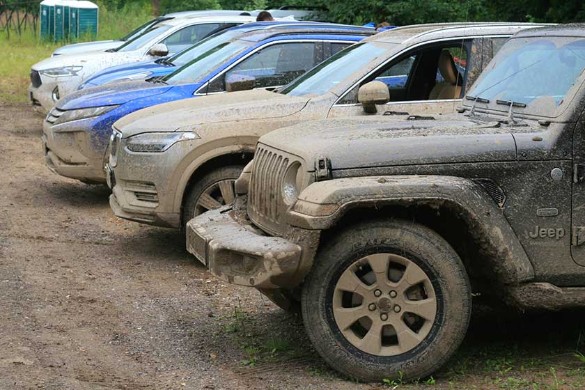 Фото: Владимир Головин