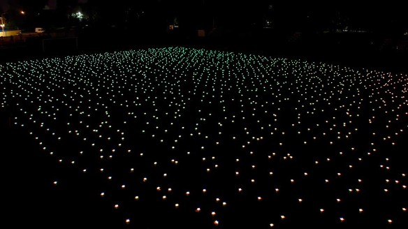 Фото: Пресс-служба