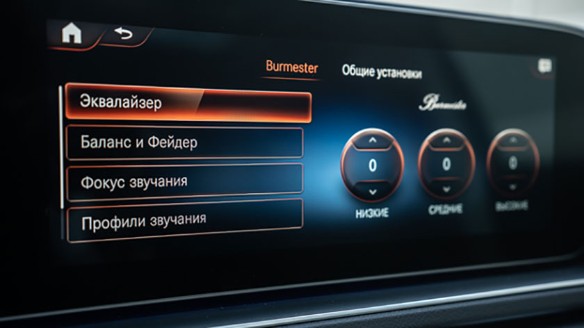 Фото: Родион Газманов