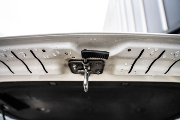 Фото: Родион Газманов