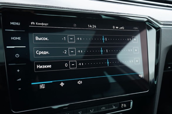 Фото: Родион Газманов