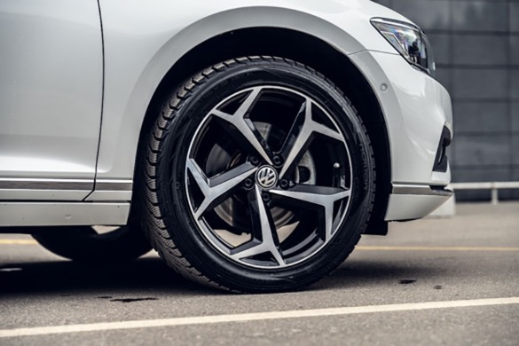 Фото: Родион Газманов