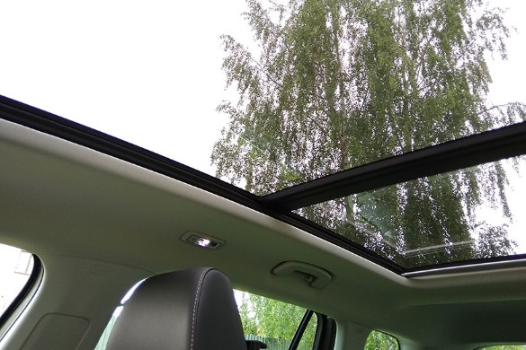 Фото: Константин Козлов