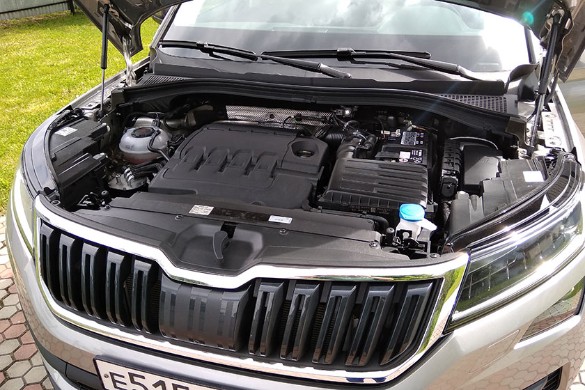 Фото: Константин Козлов